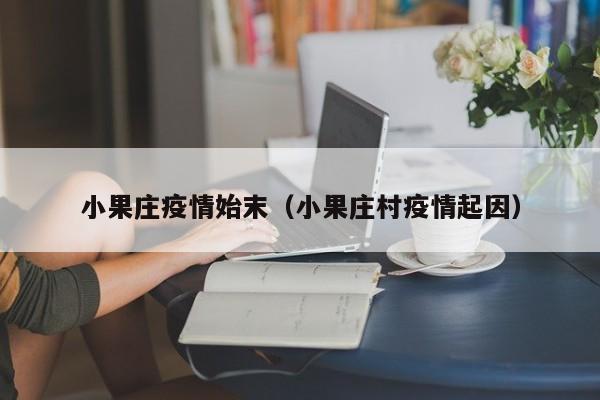 小果庄疫情始末（小果庄村疫情起因）